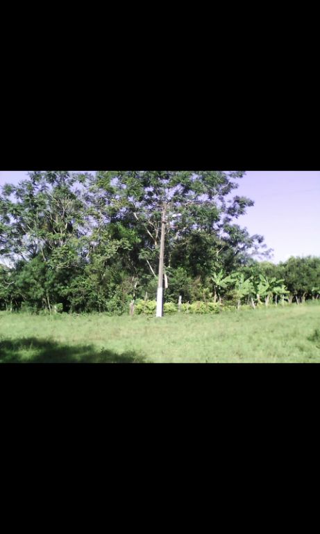 En caaguazu repatriacion Sobre doble avenida — foto 3