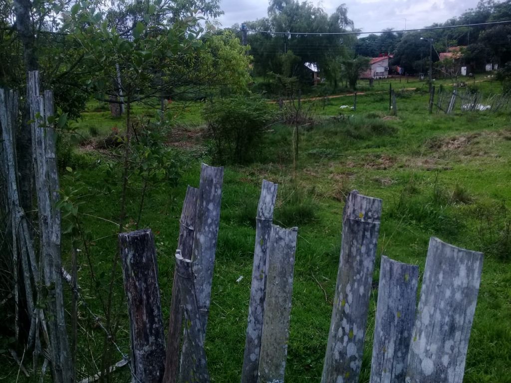 URGENTE REMATO!!!! — foto 2