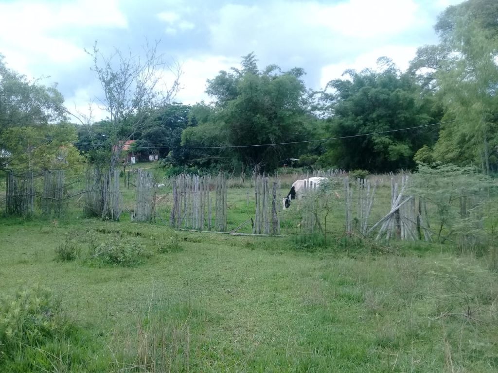 URGENTE REMATO!!!! — foto 3