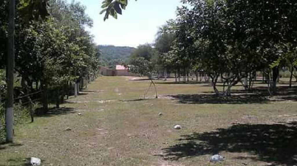 CASA QUINTA EN VENTA EN YTU — foto 2