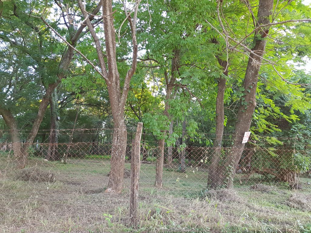 Vendo terreno — foto 3