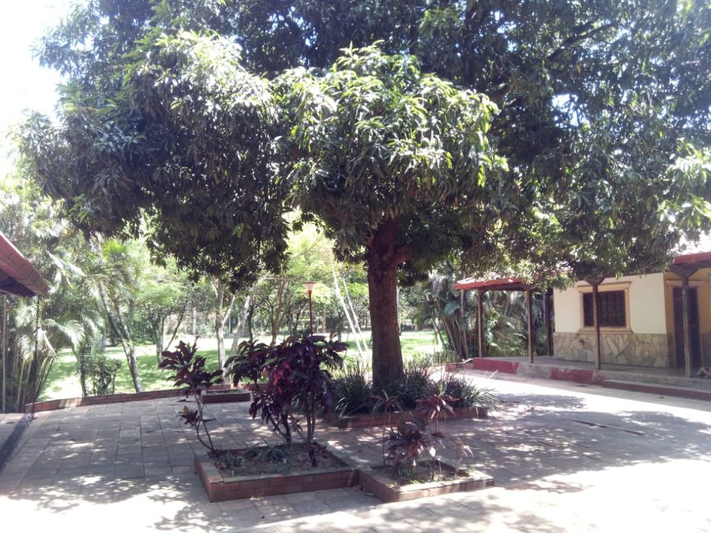 HERMOSA CASA QUINTA EN SAN BERNARDINO — foto 2