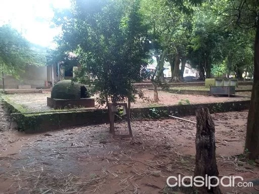 OFERTA!!! HERMOSA QUINTA DE 1 HECTAREA EN PLENO CENTRO DE CARAPEGUA – TIENE 4 HABITACIONES — foto 3