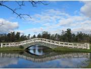 SESIONES DE FOTOS PARA TÚ EVENTO