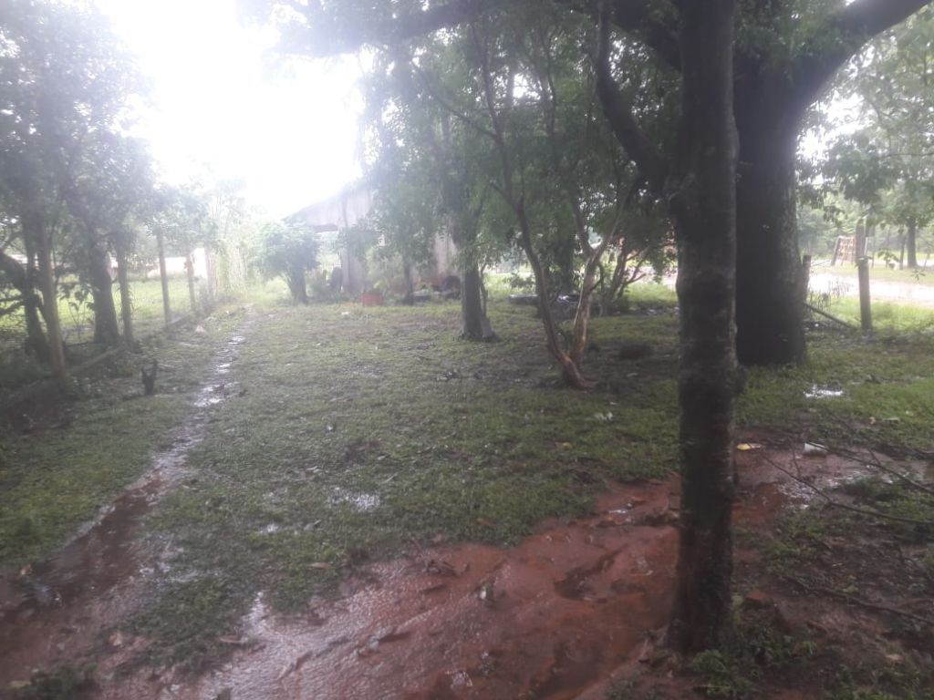 VENDO TERRENO CON CASITA EN SAN JUAN NEPOMUCENO!!!! — foto 3