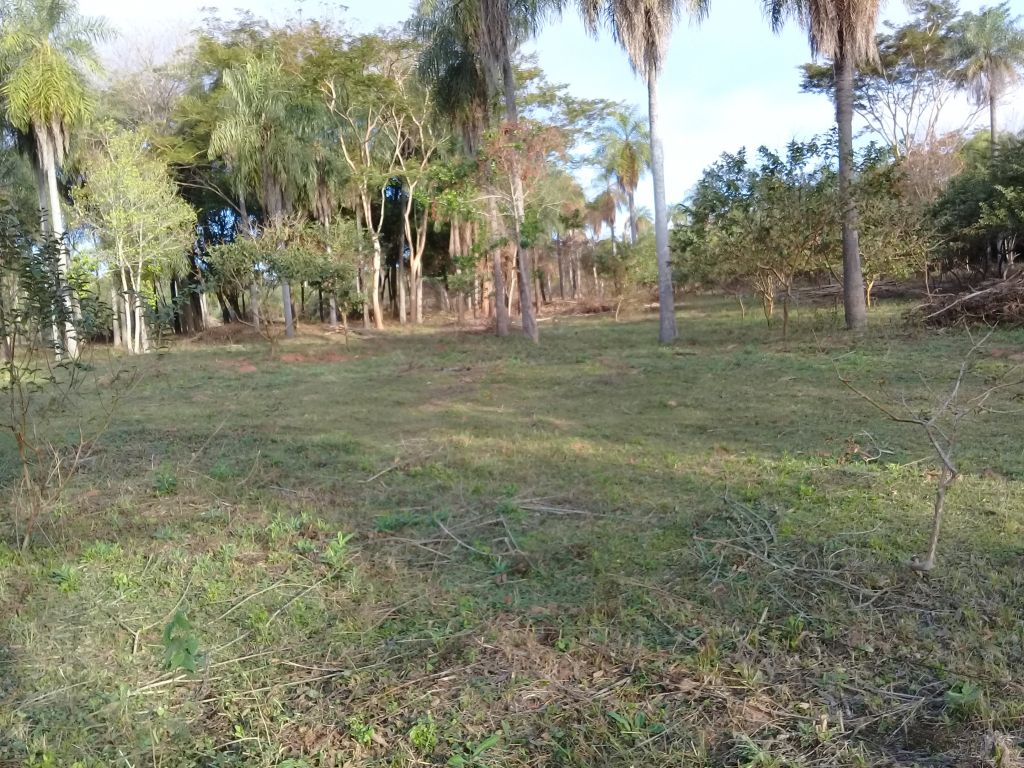 Terreno en Loma Grande ( Para granja 2,5 has) — foto 2