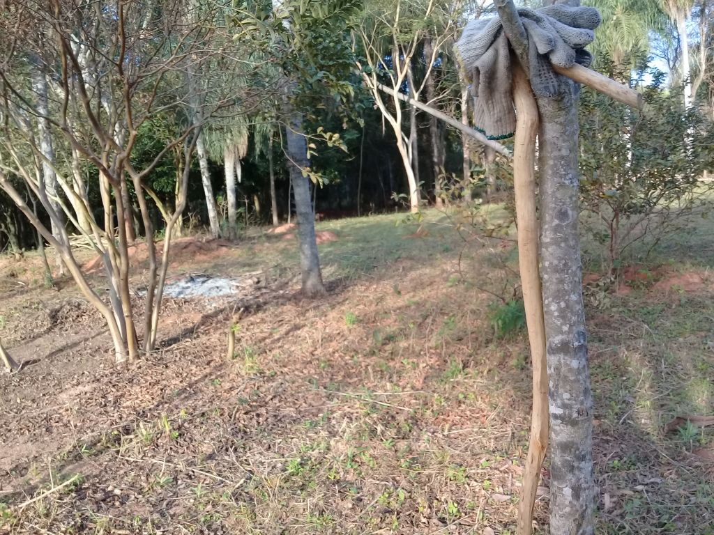 Terreno en Loma Grande ( Para granja 2,5 has) — foto 3