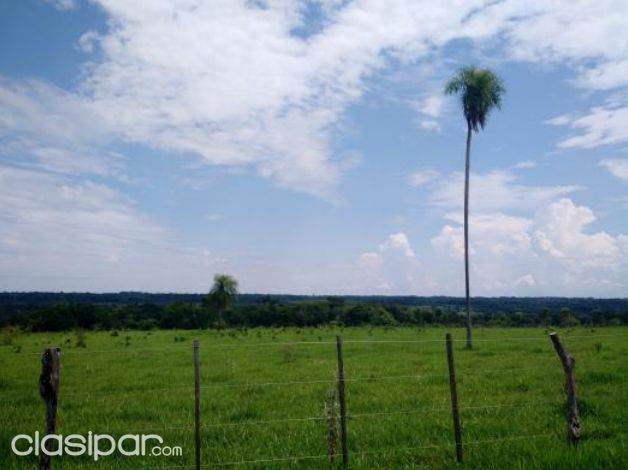 VENDO ESTANCIA DE 1600 HA DPTO SAN PEDRO ZONA CHORE — foto 2