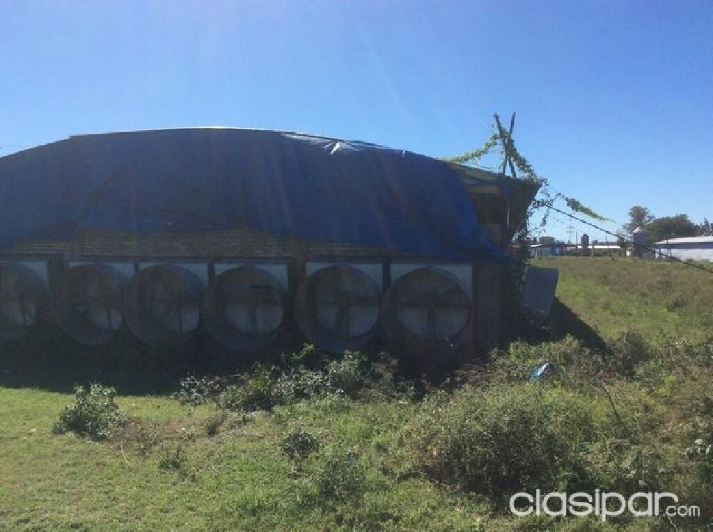 GRANJA AVICOLA EN VENTA — foto 3