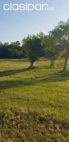 Vendo Hermosos Terrenos en Emboscada — foto 2