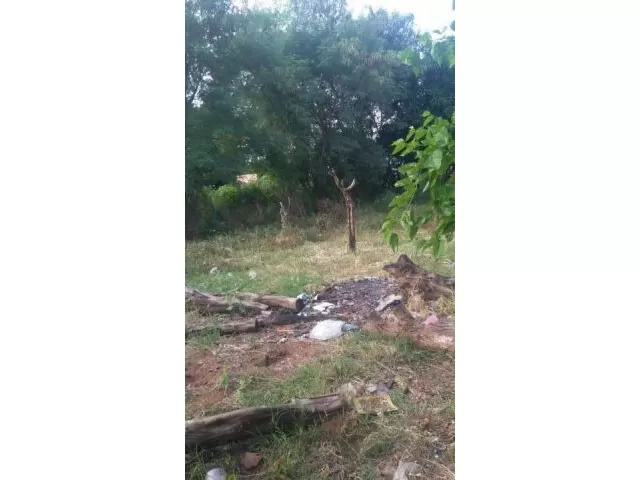 TERRENO EN LA CIUDAD DE SAN ANTONIO — foto 2