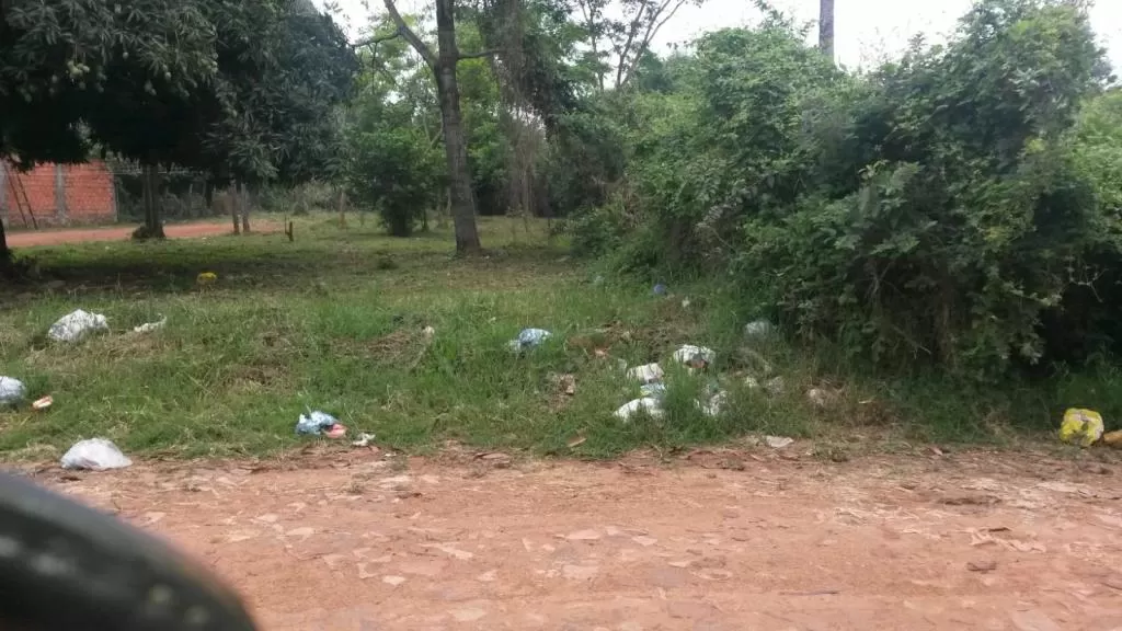 TERRENO IDEAL, INVERSIÓN O VIVIENDAS, CUADRA VIADUCTO NUEVO PUENTE REMANSO — foto 3