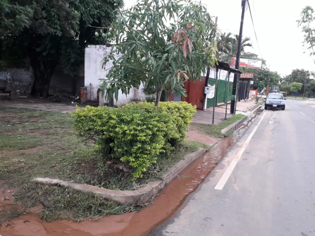 Terreno — foto 3