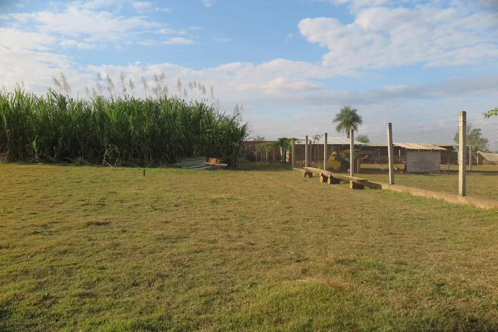 VENDO HERMOSA GRANJA FORMADA DE 6.000 M2 EN PLENO CENTRO DE PTE. FRANCO — foto 2