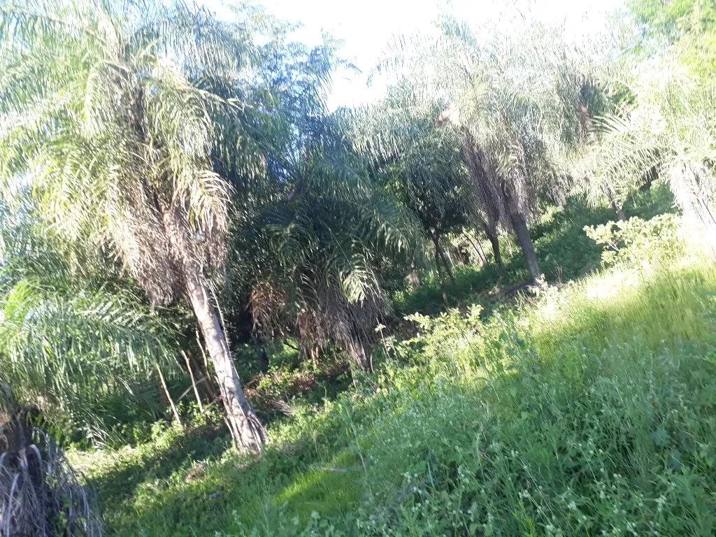 Vendo terreno 41 de frente y 60 de fondo — foto 3