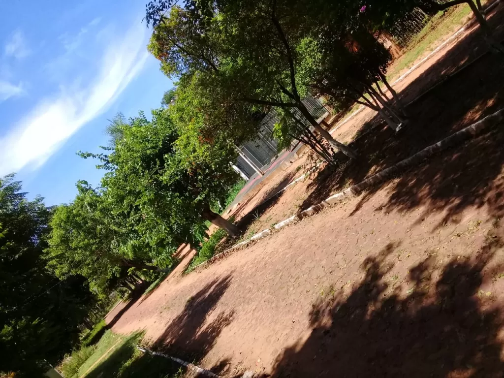 VENDO TERRENO EN CAPIATA KM20 — foto 2