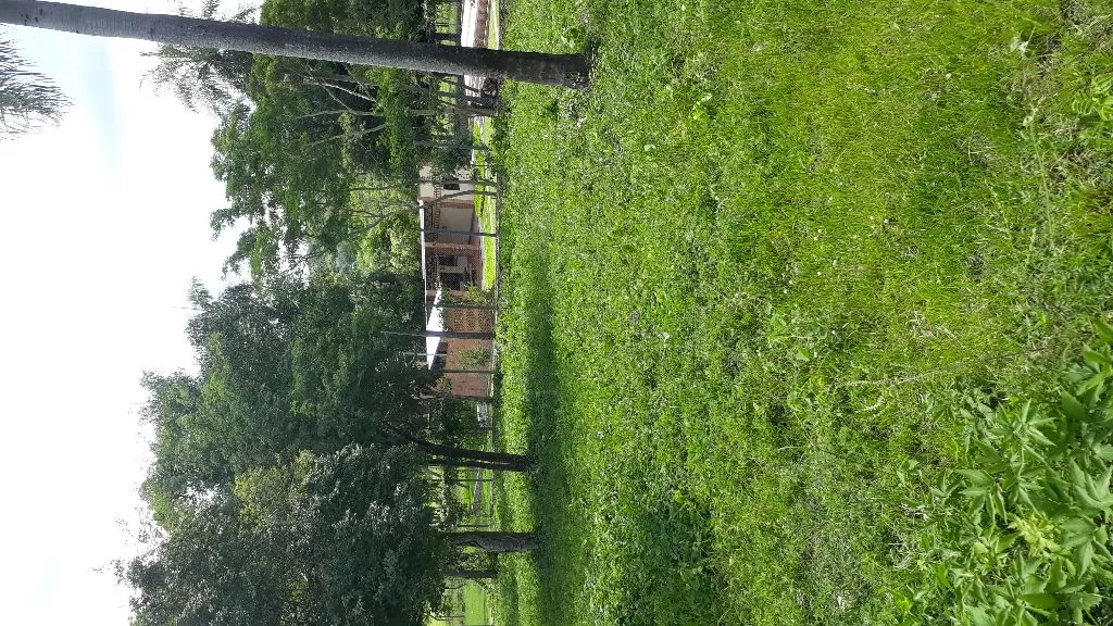 Terrenos en Sanber Oferta — foto 2