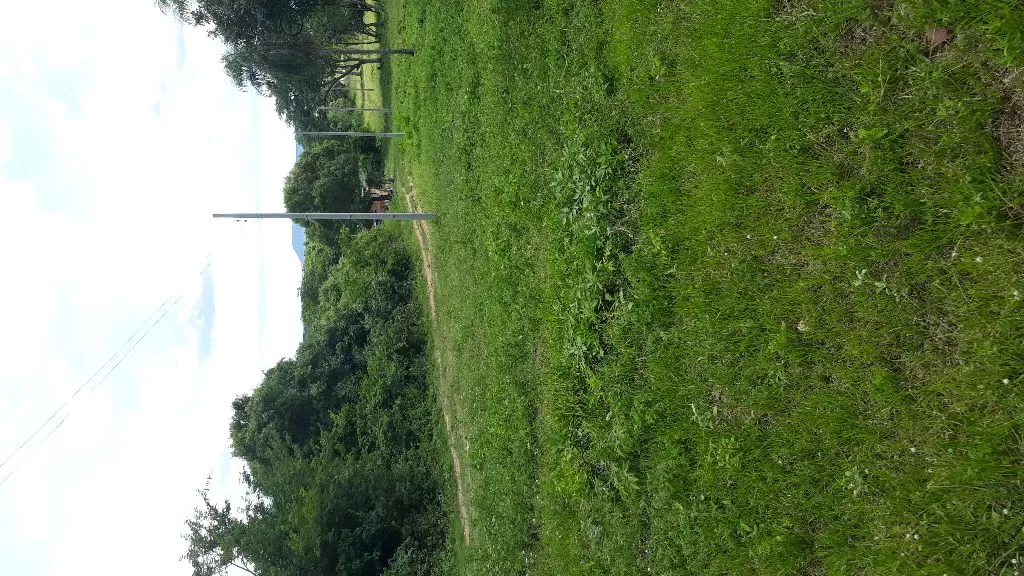 Terrenos en Sanber Oferta — foto 3