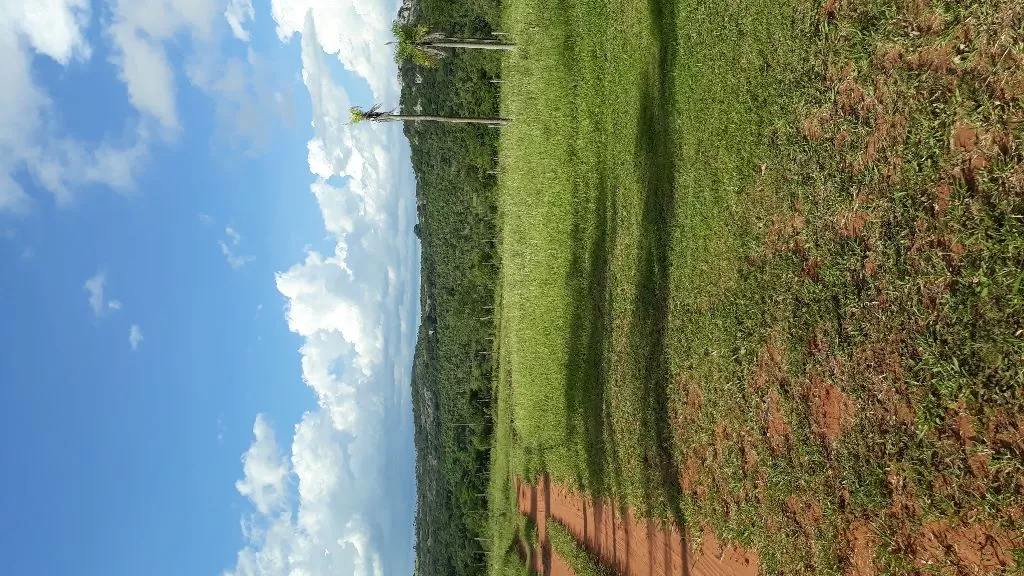 Terrenos en Pirebebuy — foto 2