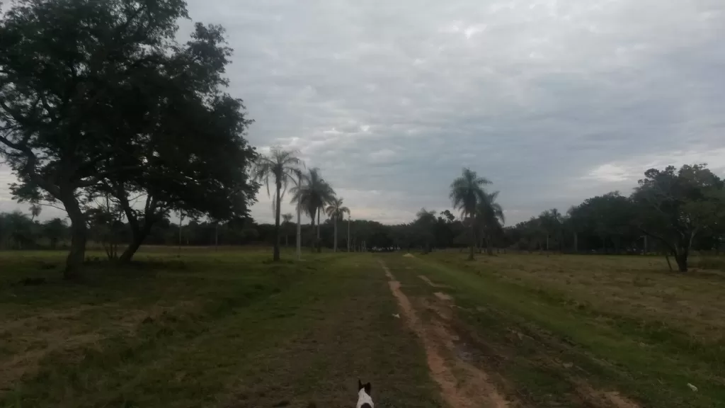 Guarambaré Ruta 1 — foto 2