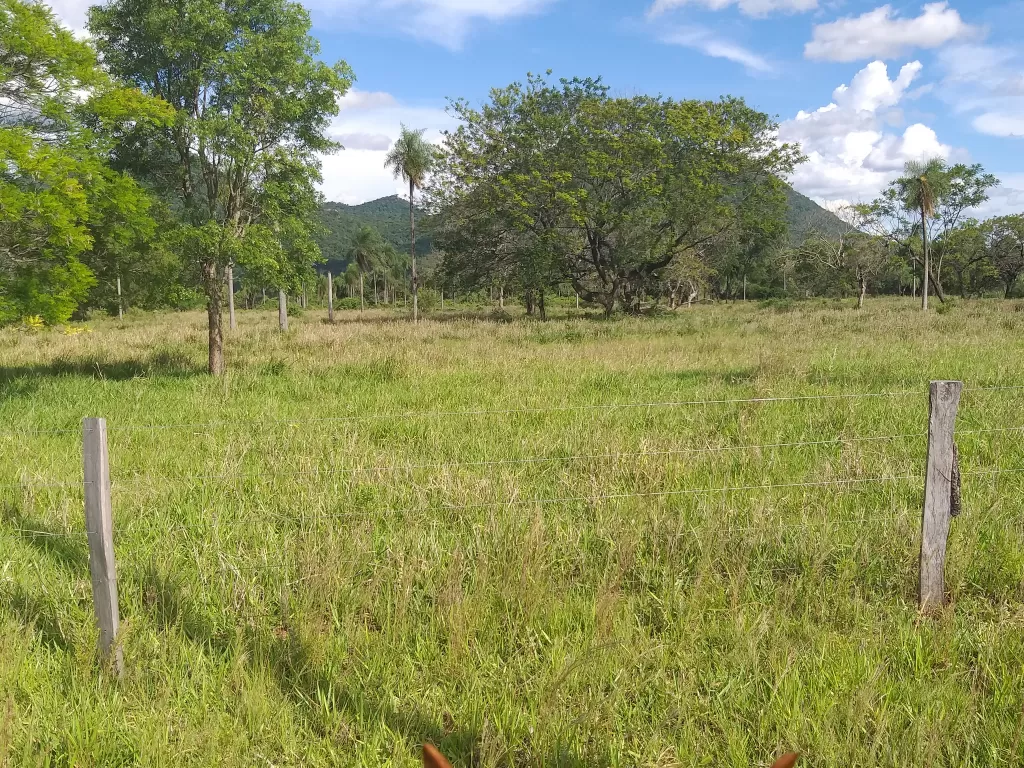 VENDO 108Ha EN DEPARTAMENTO PARAGUARI — foto 3