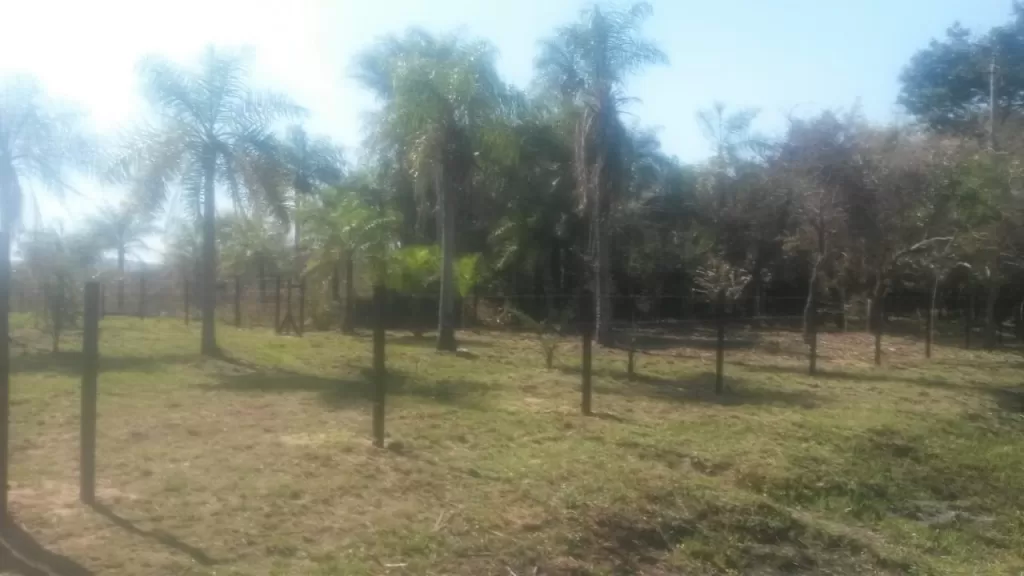 VENDO 4 TERRENOS JUNTOS EN SAN BERNARDINO EL CORTIJO! — foto 2