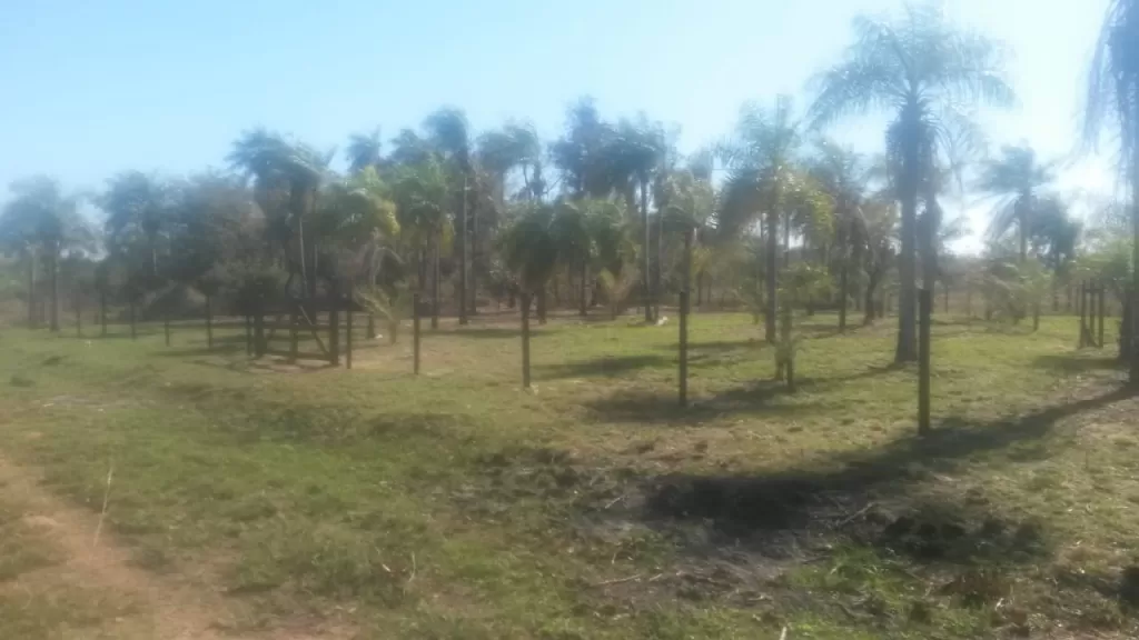 VENDO 4 TERRENOS JUNTOS EN SAN BERNARDINO EL CORTIJO! — foto 3