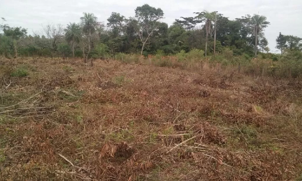 Vendo cuatro terreno juntos — foto 2