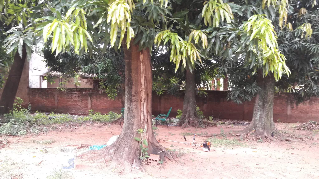VENDO HERMOSO TERRENO SOBRE ASFALTO, RUTA LUQUE AREGUA, — foto 2