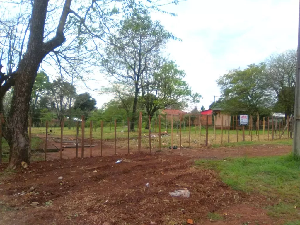 TERRENO S AVDA. BERNARDINO CABALLERO - EN PTE. FRANCO — foto 3