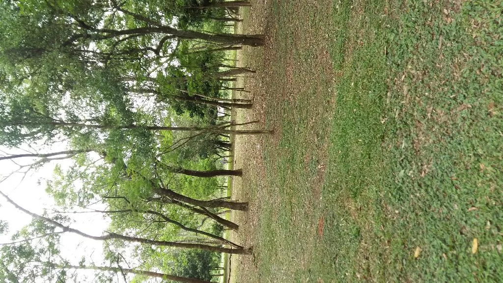 Para su casa quinta piribebuy — foto 3