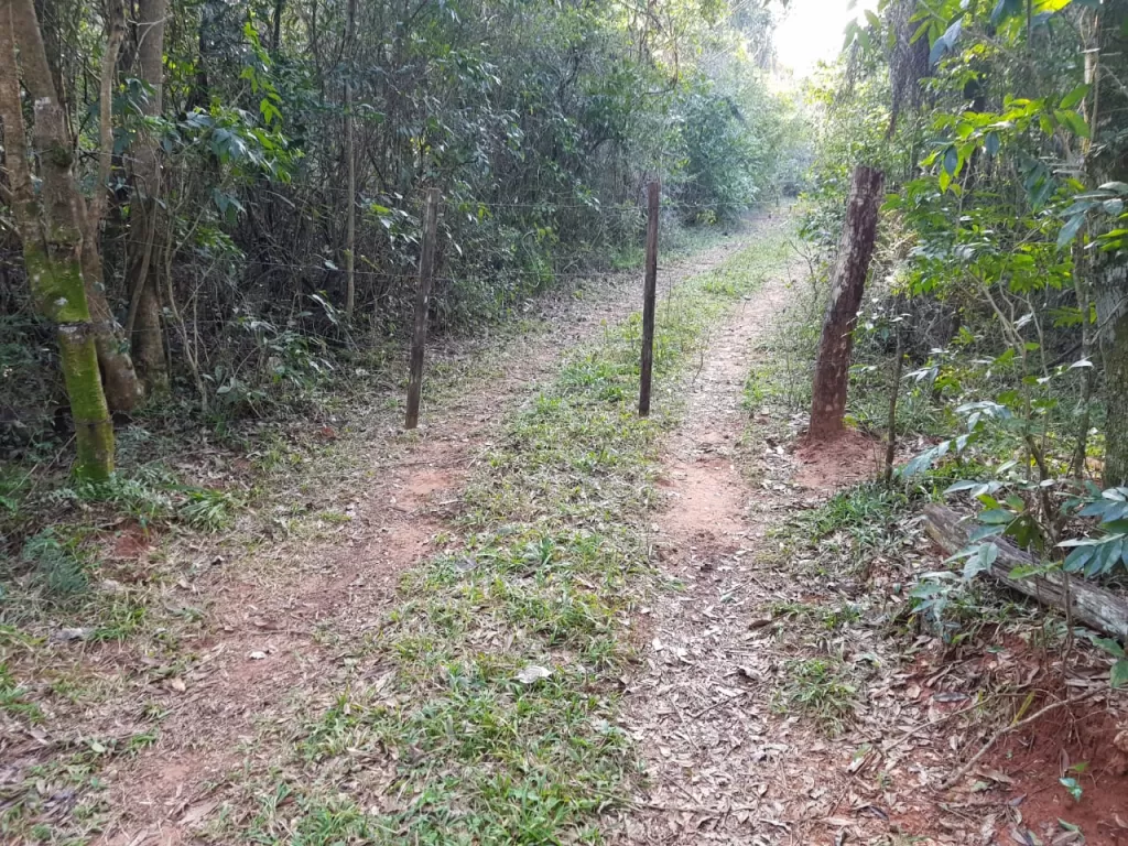 FINCA DE 7.5 HECTÁREAS EN ATYRÁ. SOBRE ASFALTO RUTA CAACUPÉ - ATYRÁ — foto 2