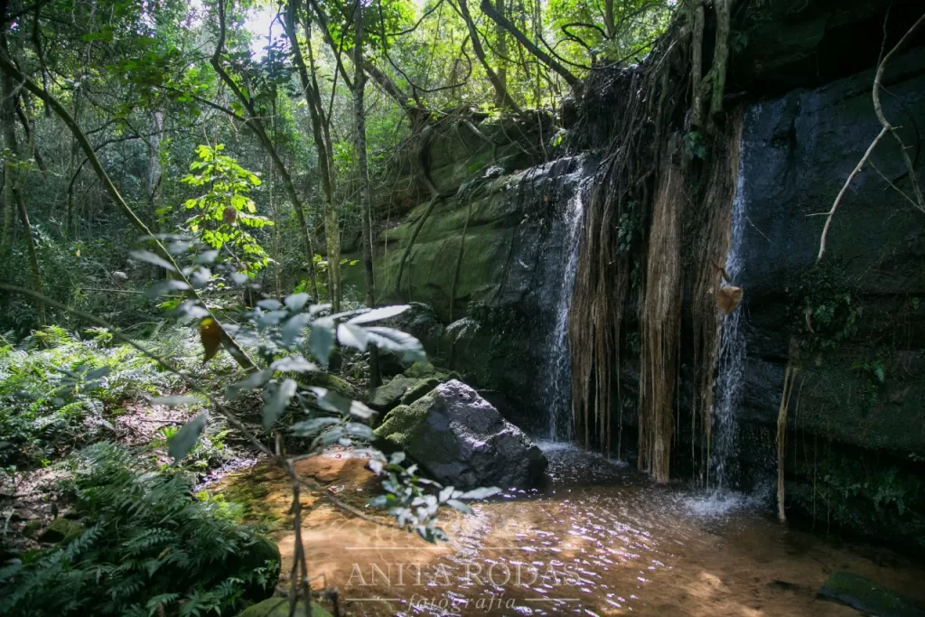 VENDO HERMOSO CAMPO EN PARAGUARÍ! IDEAL PARA TODO TIPO DE EMPRENDIMIENTO! — foto 3
