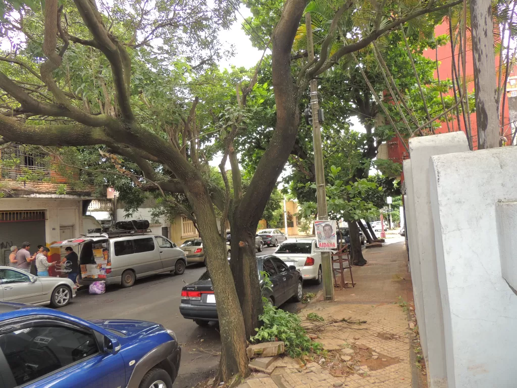 VENDO CASA ANTIGUA ENTRE 3RA Y 4TA. - 377 MT2 — foto 2