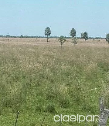 VENDO 422 HECTÁREAS SOBRE ASFALTO EN LA ZONA DE CORDILLERA. cod 1405 PRECIO: 20.000.000 G — foto 2