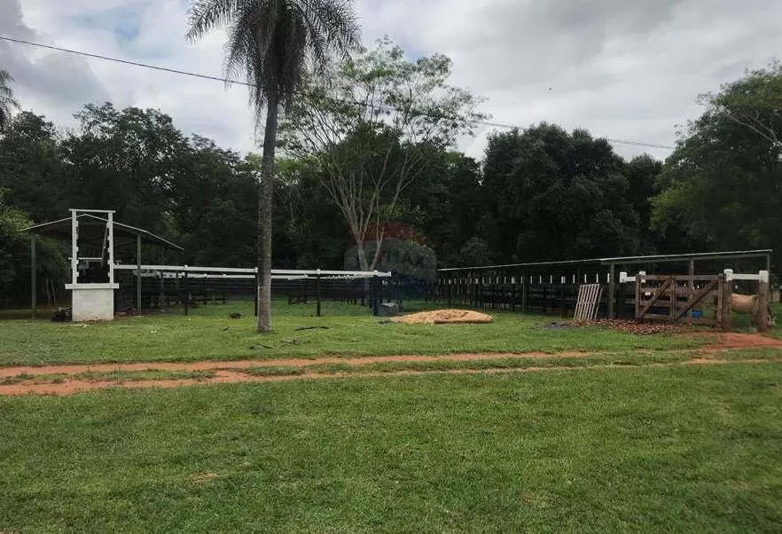 VENDO GRANJA EN ITA — foto 2