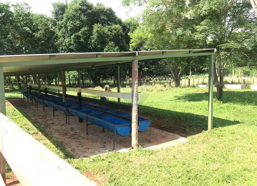 VENDO GRANJA EN ITA — foto 3