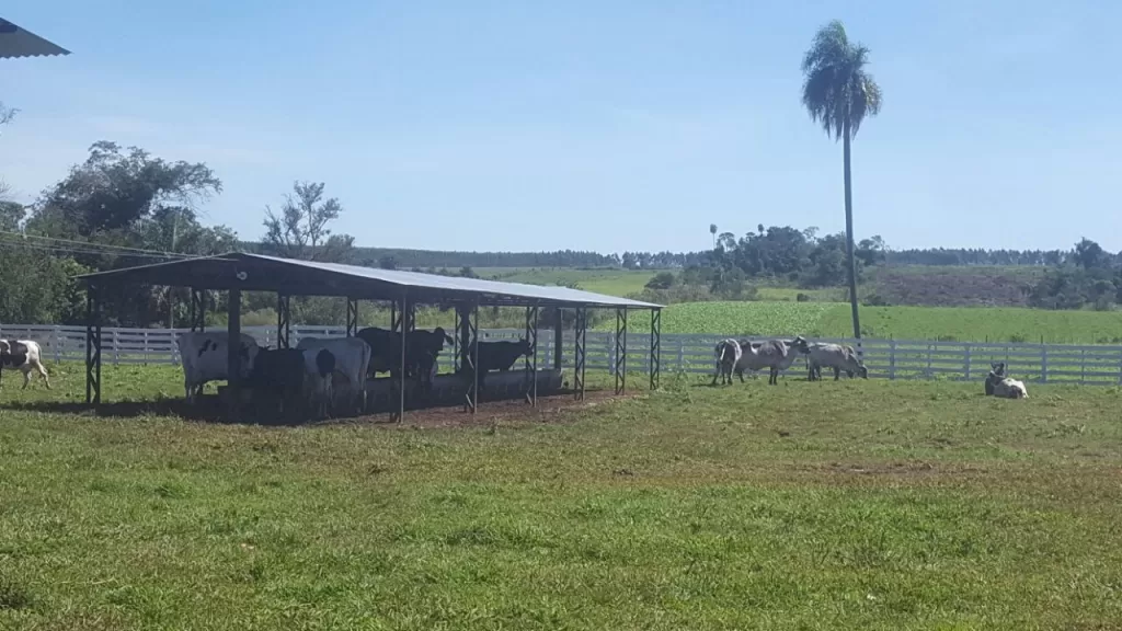 Titulado — foto 2