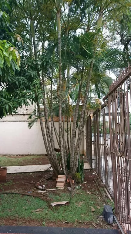 VENDO AMPLIO DUPLEX EN CIUDAD DEL ESTE ZONA AVDA. SAN JOSE cod 1421 — foto 2