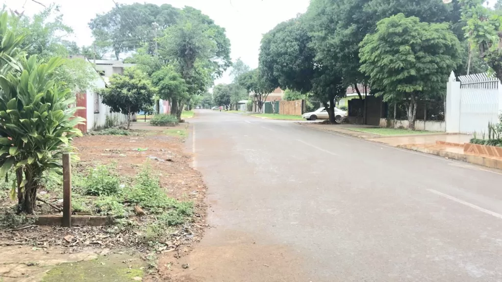 Oferta Terreno en Santa Ana Cde — foto 3