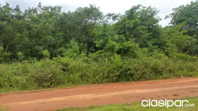 VENDO TERRENO DE 915 mts2 en LUQUE frente al Aeropuerto — foto 2