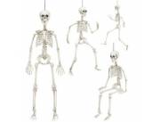Esqueleto humano articulado
