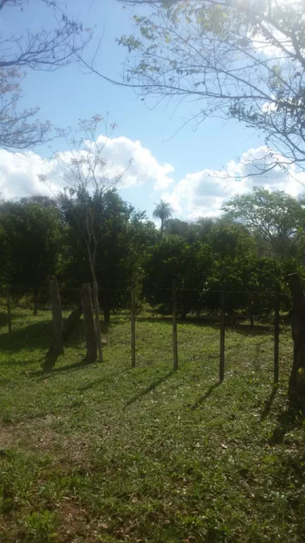 VENDO 3 HAS EN BARRERO CON ARROYO — foto 3