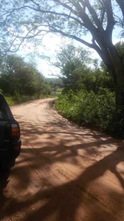 VENDO PROPIEDAD DE 6 HAS SOBRE 3 CALLES. — foto 2