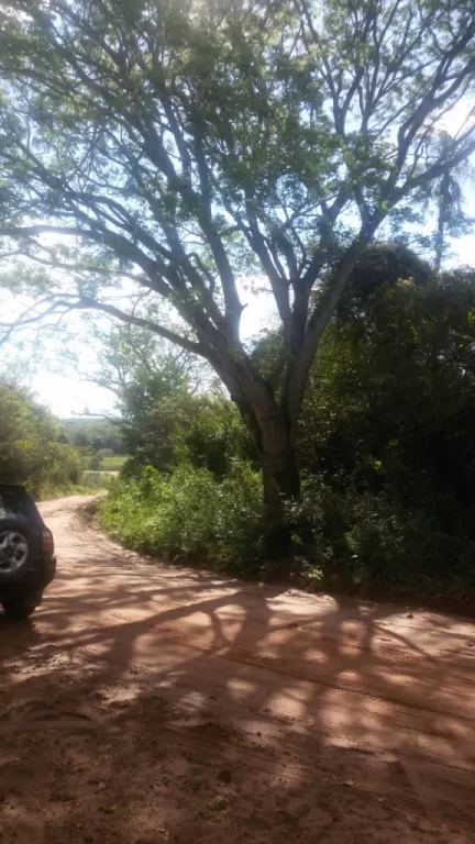 VENDO PROPIEDAD DE 6 HAS SOBRE 3 CALLES. — foto 3