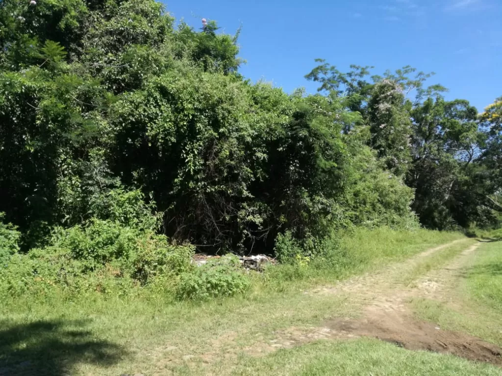 Vendo terreno en esquina Urba. Sadi San Bernardino 1552,5 m2 — foto 2