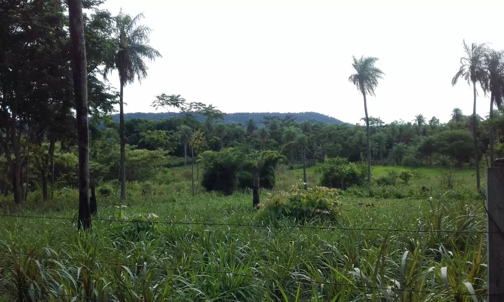 VENDO HERMOSO TERRENO — foto 2