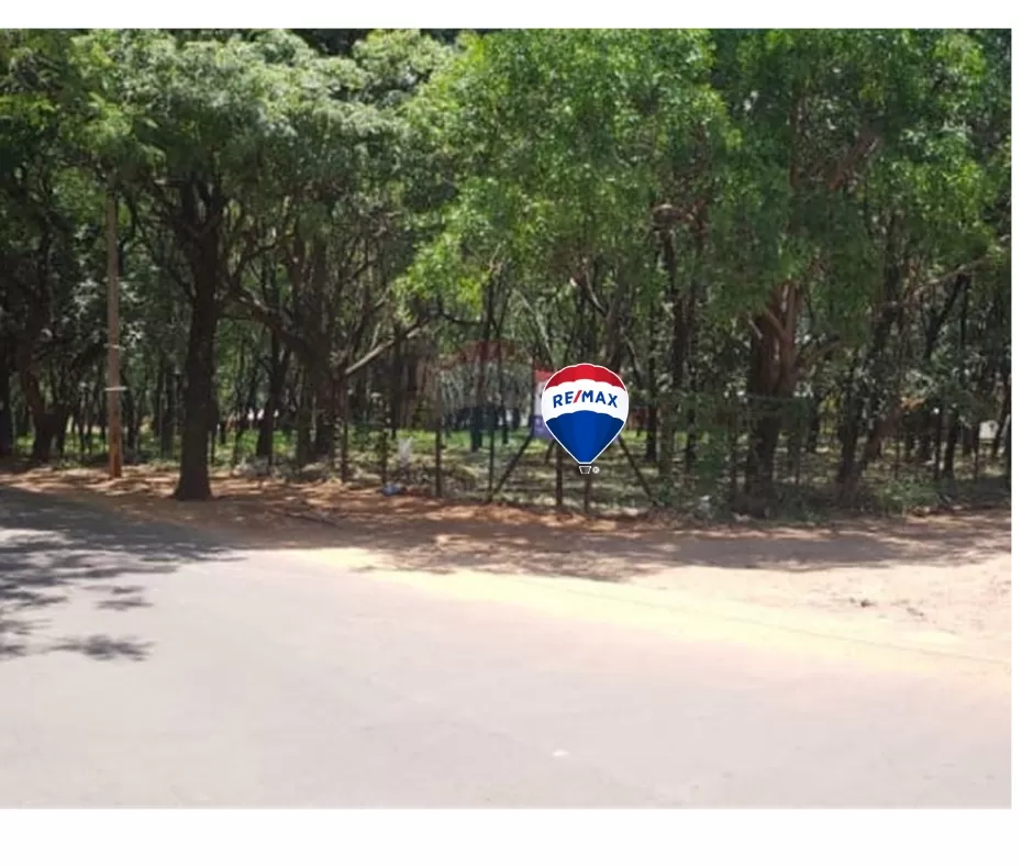 VENDO TERRENO EN LUQUE — foto 3