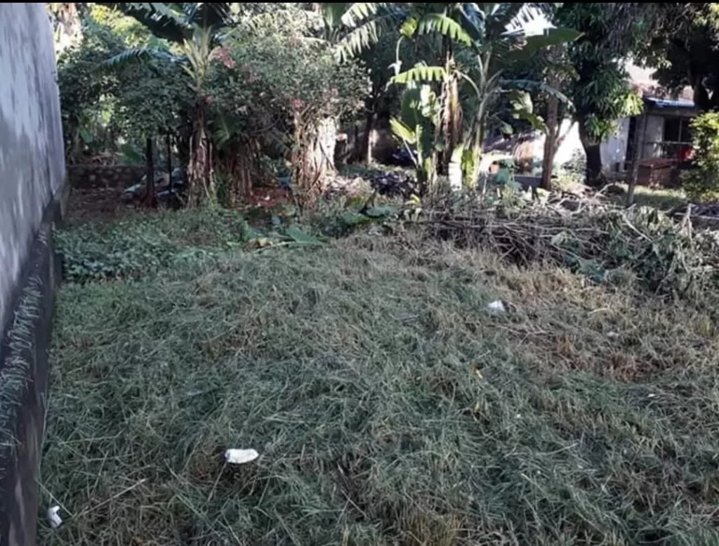 Terreno en el centro de San Lorenzo — foto 2