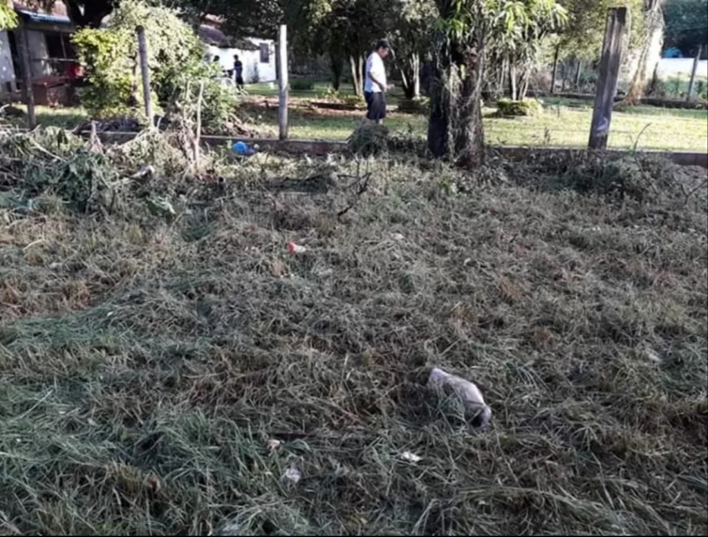 Terreno en el centro de San Lorenzo — foto 3